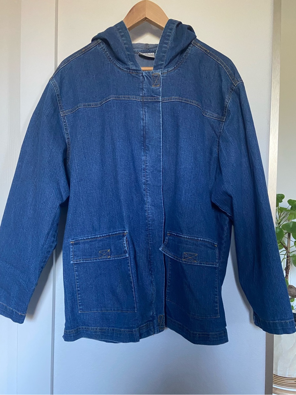 Erika Blue Denim Hooded Chore Jacket